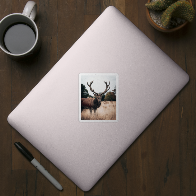 Deer Stag by opticpixil